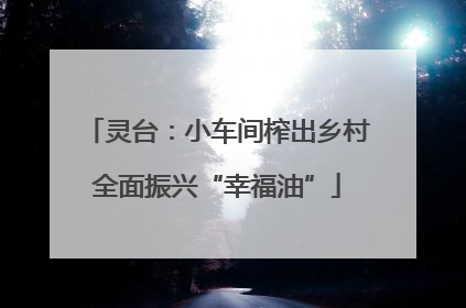 灵台：小车间榨出乡村全面振兴“幸福油”
