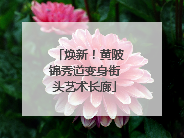 焕新！黄陂锦秀道变身街头艺术长廊