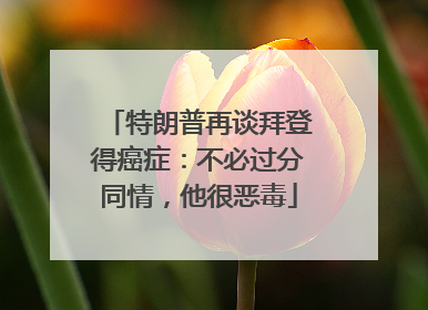 特朗普再谈拜登得癌症：不必过分同情，他很恶毒