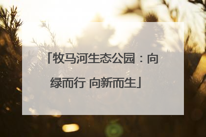 牧马河生态公园：向绿而行 向新而生