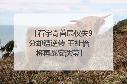 石宇奇首局仅失9分却遭逆转 王祉怡将再战安洗莹