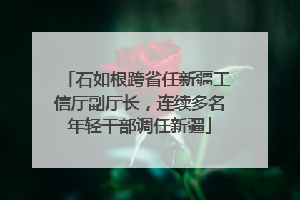 石如根跨省任新疆工信厅副厅长，连续多名年轻干部调任新疆