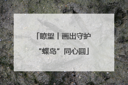 瞭望丨画出守护“蝶岛”同心圆