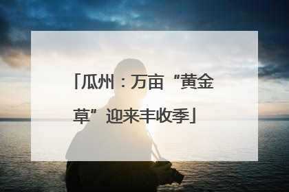 瓜州：万亩“黄金草”迎来丰收季