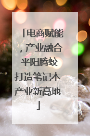电商赋能，产业融合 平阳腾蛟打造笔记本产业新高地