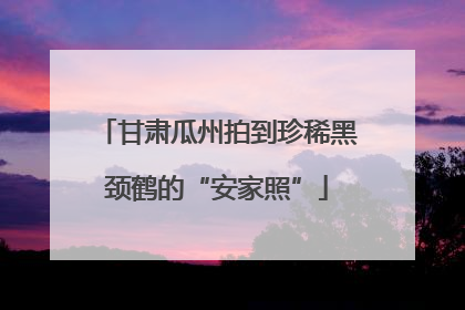 甘肃瓜州拍到珍稀黑颈鹤的“安家照”