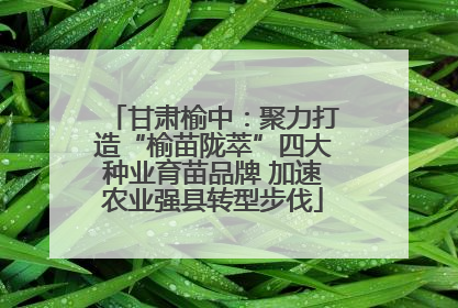 甘肃榆中：聚力打造“榆苗陇萃”四大种业育苗品牌 加速农业强县转型步伐