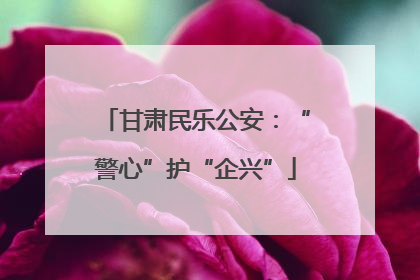 甘肃民乐公安：“警心”护“企兴”