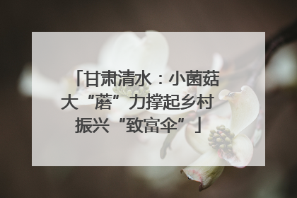 甘肃清水：小菌菇大“蘑”力撑起乡村振兴“致富伞”
