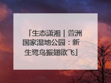 生态潇湘｜萱洲国家湿地公园：新生鹭鸟振翅欲飞