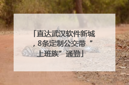 直达武汉软件新城，8条定制公交带“上班族”通勤