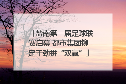 盐南第一届足球联赛启幕 都市集团铆足干劲拼“双赢”