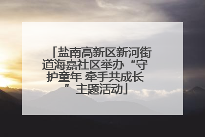盐南高新区新河街道海嘉社区举办“守护童年 牵手共成长”主题活动