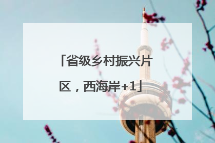 省级乡村振兴片区，西海岸+1