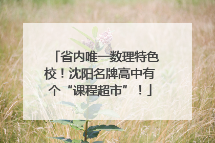 省内唯一数理特色校！沈阳名牌高中有个“课程超市”！