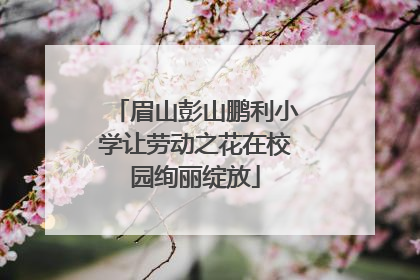 眉山彭山鹏利小学让劳动之花在校园绚丽绽放