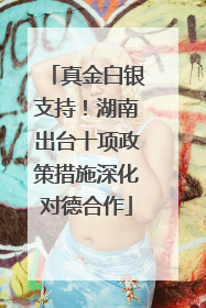 真金白银支持！湖南出台十项政策措施深化对德合作