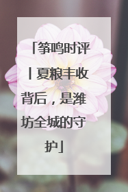 筝鸣时评丨夏粮丰收背后，是潍坊全城的守护