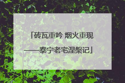 砖瓦重吟 烟火重现——泰宁老宅涅槃记
