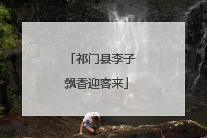 祁门县李子飘香迎客来