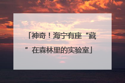神奇！海宁有座“藏”在森林里的实验室
