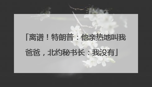 离谱！特朗普：他亲热地叫我爸爸，北约秘书长：我没有