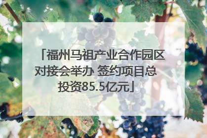 福州马祖产业合作园区对接会举办 签约项目总投资85.5亿元