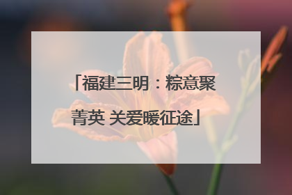 福建三明：粽意聚菁英 关爱暖征途