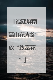 福建屏南高山花卉绽放“致富花”