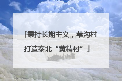 秉持长期主义，苇沟村打造泰北“黄精村”