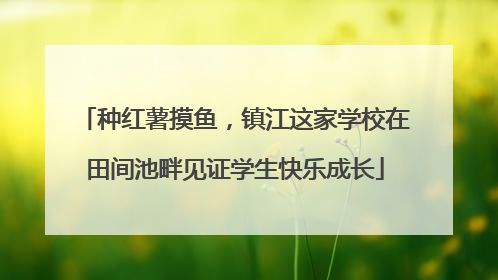 种红薯摸鱼，镇江这家学校在田间池畔见证学生快乐成长