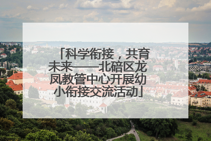 科学衔接，共育未来——北碚区龙凤教管中心开展幼小衔接交流活动