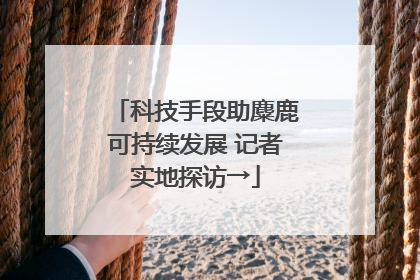 科技手段助麋鹿可持续发展 记者实地探访→