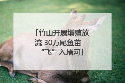竹山开展增殖放流 30万尾鱼苗“飞”入堵河