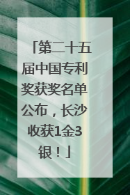 第二十五届中国专利奖获奖名单公布，长沙收获1金3银！