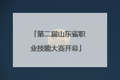 第二届山东省职业技能大赛开幕