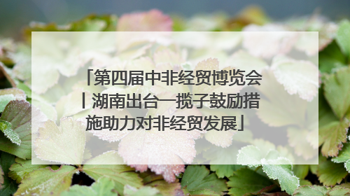 第四届中非经贸博览会丨湖南出台一揽子鼓励措施助力对非经贸发展