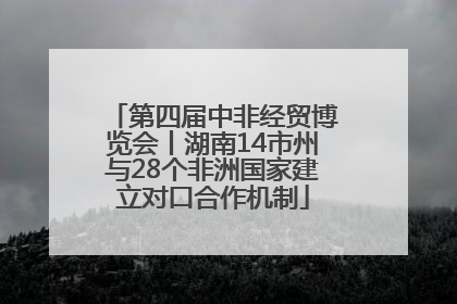 第四届中非经贸博览会丨湖南14市州与28个非洲国家建立对口合作机制