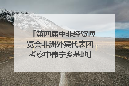 第四届中非经贸博览会非洲外宾代表团考察中伟宁乡基地