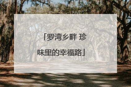 罗湾乡畔 珍味里的幸福路