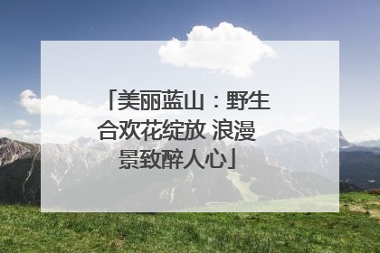美丽蓝山：野生合欢花绽放 浪漫景致醉人心