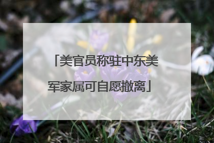 美官员称驻中东美军家属可自愿撤离