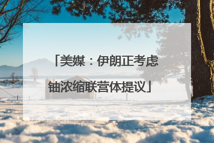 美媒：伊朗正考虑铀浓缩联营体提议