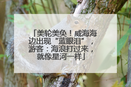 美轮美奂！威海海边出现“蓝眼泪”，游客：海浪打过来，就像星河一样