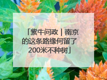 紫牛问政｜南京的这条路缘何留了200米不种树