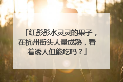 红彤彤水灵灵的果子，在杭州街头大量成熟，看着诱人但能吃吗？