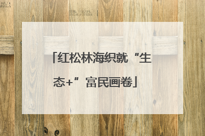 红松林海织就“生态+”富民画卷