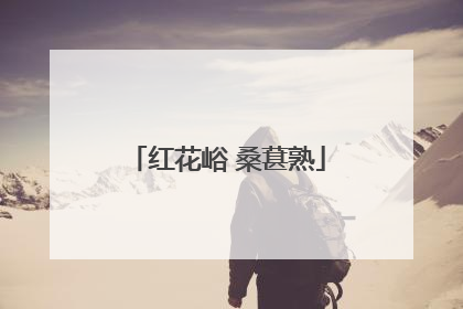 红花峪 桑葚熟