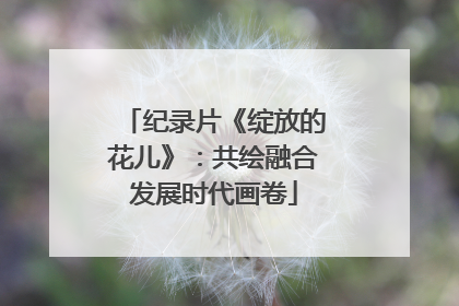 纪录片《绽放的花儿》：共绘融合发展时代画卷