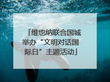 维也纳联合国城举办“文明对话国际日”主题活动